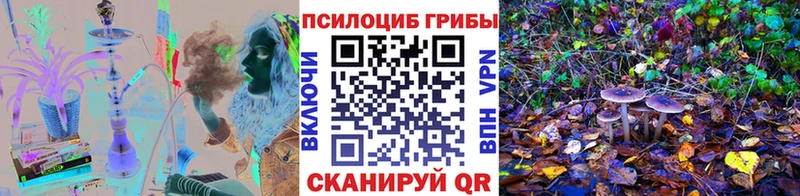Галлюциногенные грибы Cubensis Березники